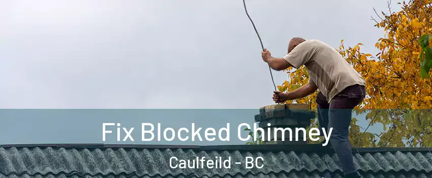  Fix Blocked Chimney Caulfeild - BC