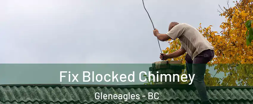  Fix Blocked Chimney Gleneagles - BC