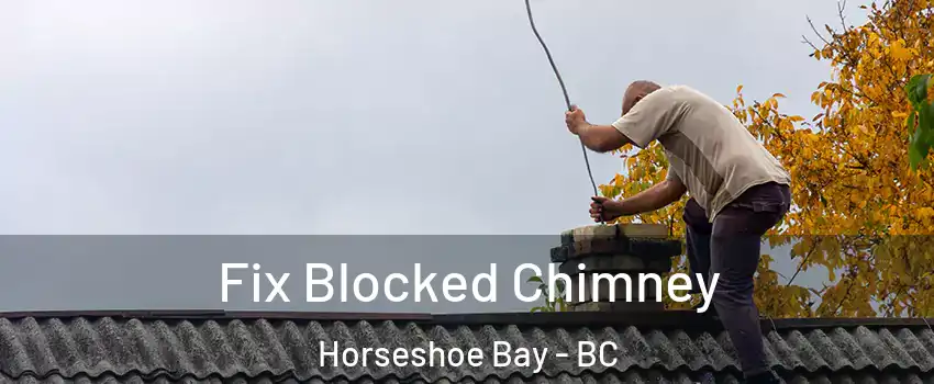  Fix Blocked Chimney Horseshoe Bay - BC