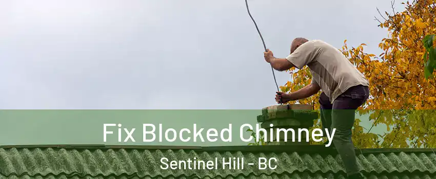  Fix Blocked Chimney Sentinel Hill - BC