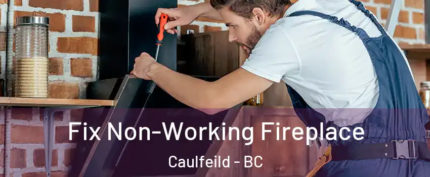  Fix Non-Working Fireplace Caulfeild - BC