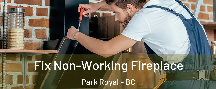  Fix Non-Working Fireplace Park Royal - BC