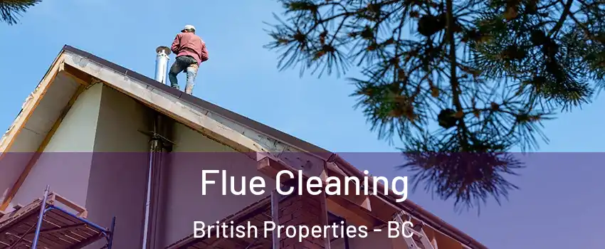  Flue Cleaning British Properties - BC