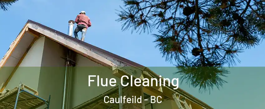  Flue Cleaning Caulfeild - BC