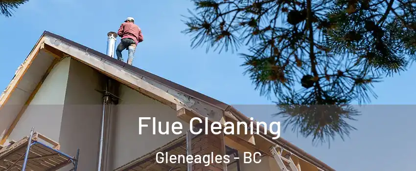  Flue Cleaning Gleneagles - BC