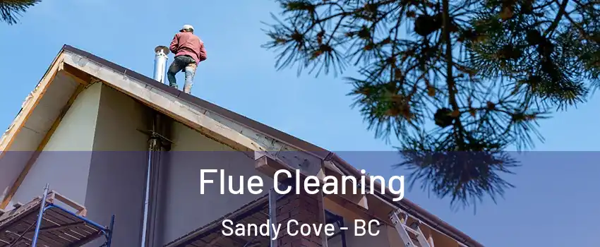  Flue Cleaning Sandy Cove - BC