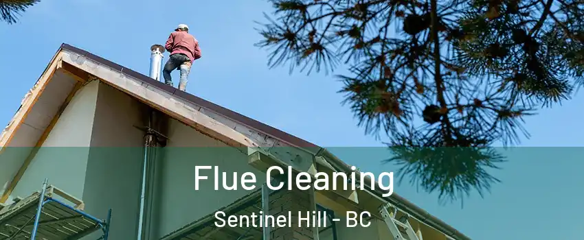  Flue Cleaning Sentinel Hill - BC