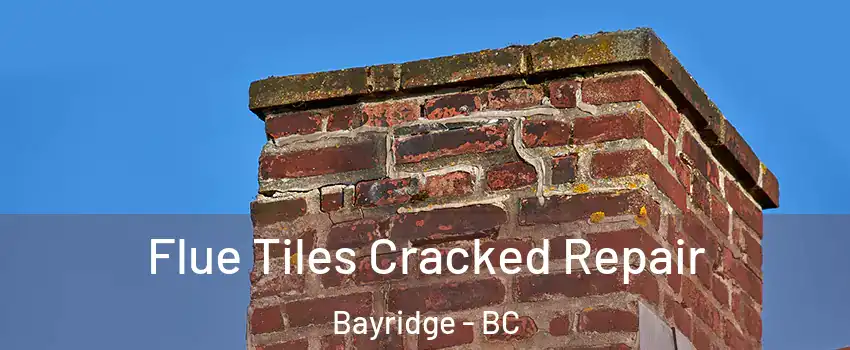  Flue Tiles Cracked Repair Bayridge - BC