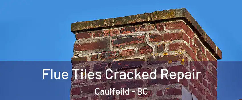  Flue Tiles Cracked Repair Caulfeild - BC
