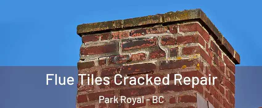 Flue Tiles Cracked Repair Park Royal - BC