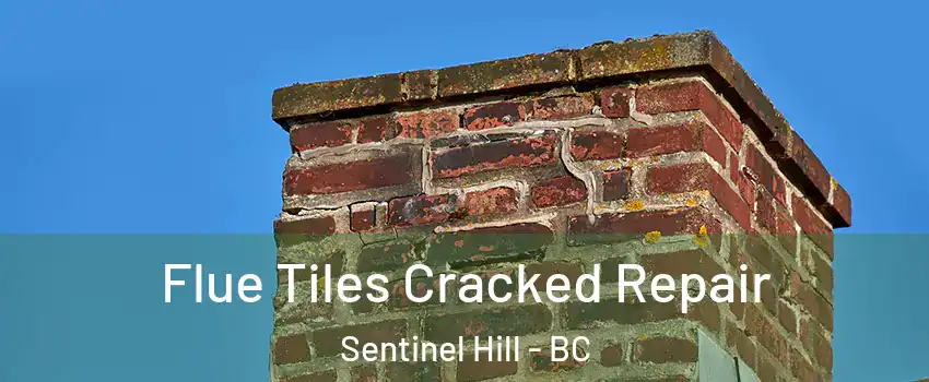  Flue Tiles Cracked Repair Sentinel Hill - BC
