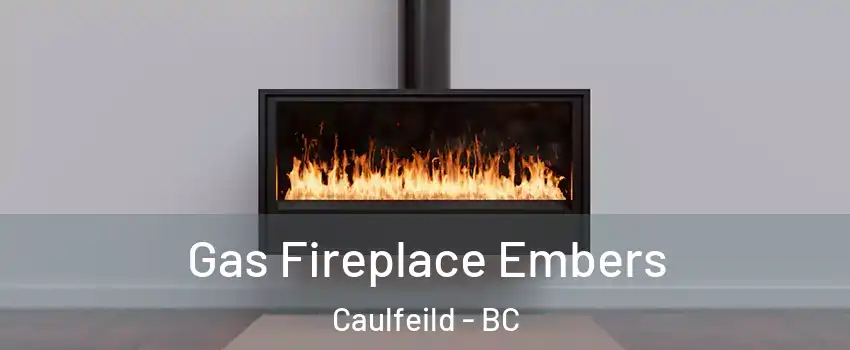 Gas Fireplace Embers Caulfeild - BC