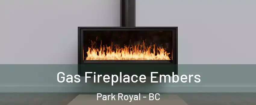  Gas Fireplace Embers Park Royal - BC