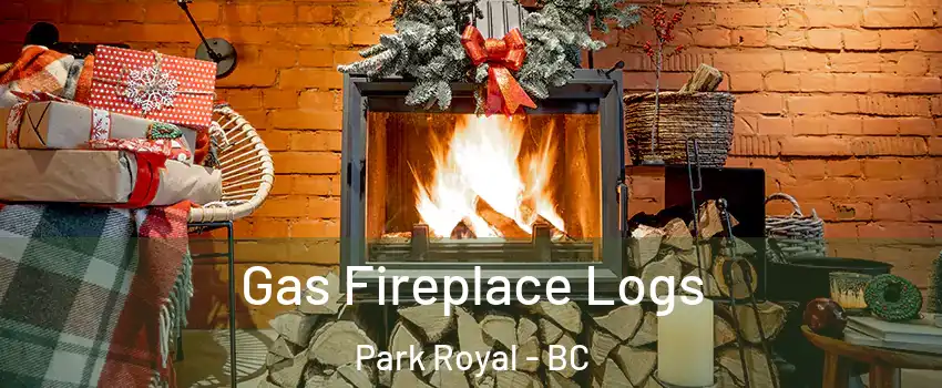  Gas Fireplace Logs Park Royal - BC