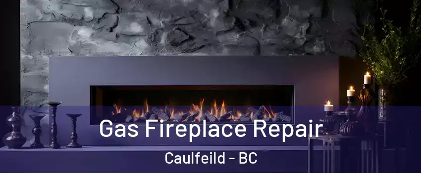  Gas Fireplace Repair Caulfeild - BC