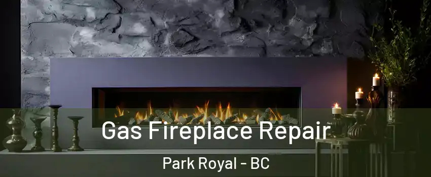  Gas Fireplace Repair Park Royal - BC