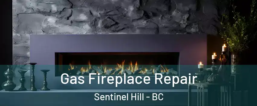  Gas Fireplace Repair Sentinel Hill - BC