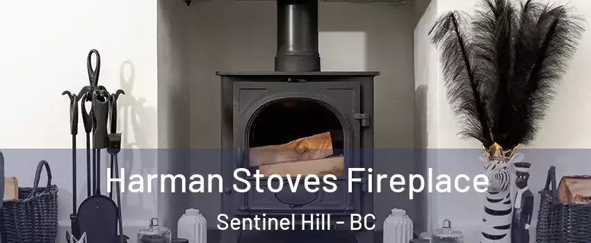  Harman Stoves Fireplace Sentinel Hill - BC