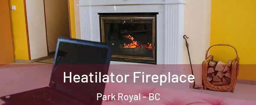  Heatilator Fireplace Park Royal - BC