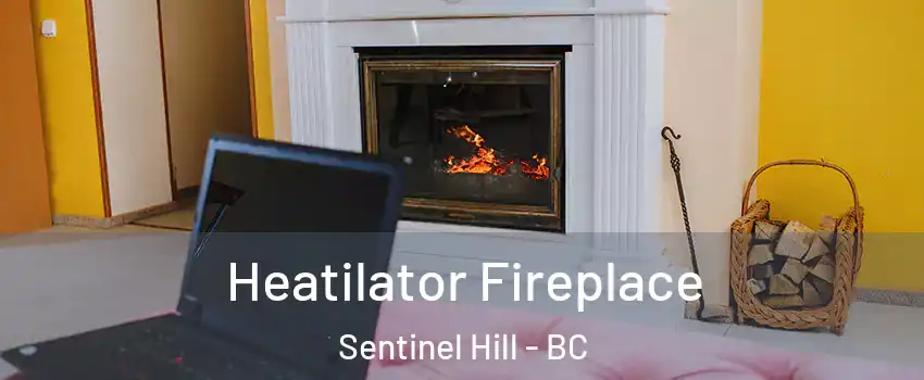  Heatilator Fireplace Sentinel Hill - BC