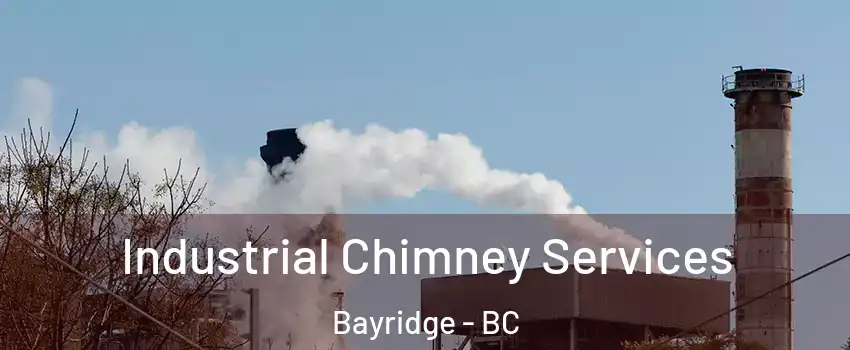  Industrial Chimney Services Bayridge - BC