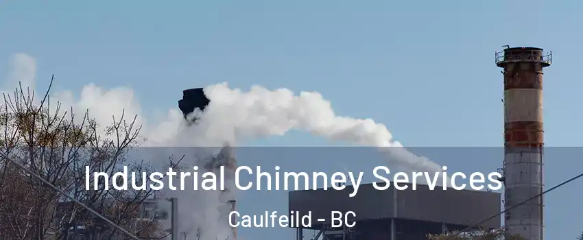  Industrial Chimney Services Caulfeild - BC