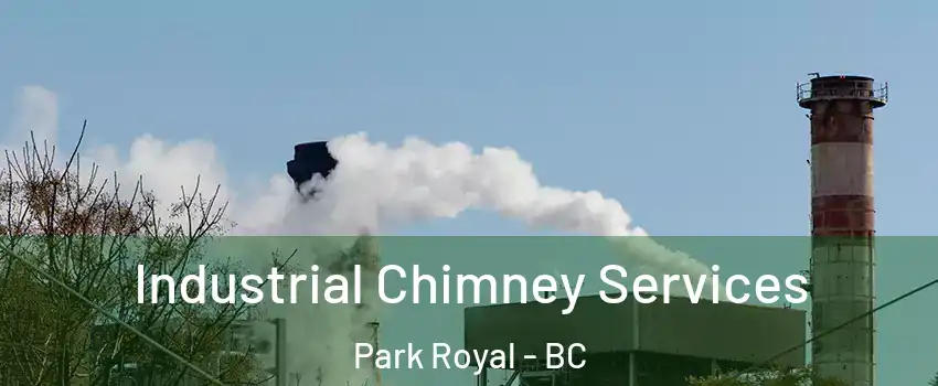  Industrial Chimney Services Park Royal - BC