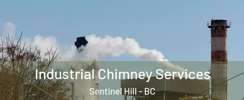  Industrial Chimney Services Sentinel Hill - BC