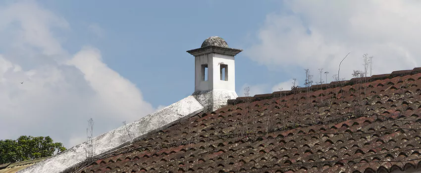 Wind-Resistant Chimney Caps Installation and Repair Services in West Vancouver, British Columbia