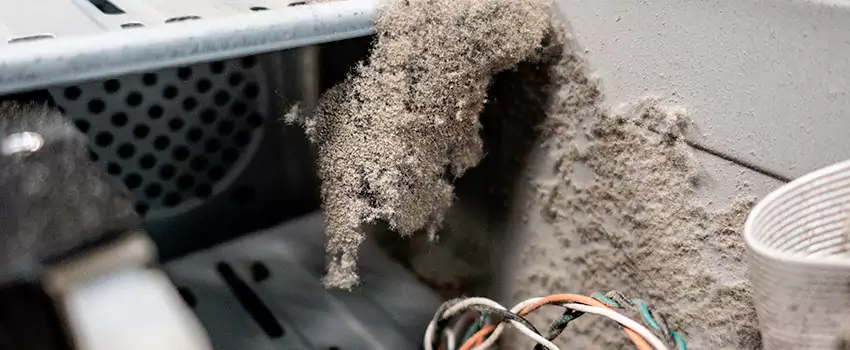 Clogged Dryer Vent Lint Cleaning in West Vancouver, British Columbia