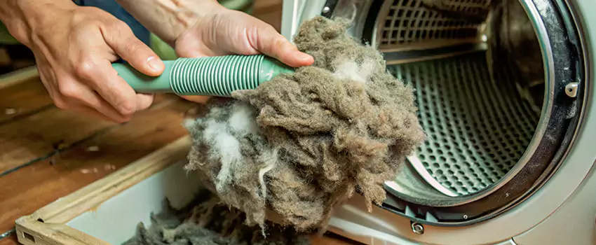 Best Dryer Lint Removal Company in British Properties, British Columbia