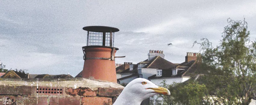 Chimney Cap Bird Guard Repair in West Vancouver, British Columbia