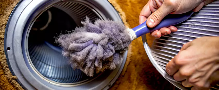 Signs Of A Clogged Dryer Lint Trap in British Properties, British Columbia