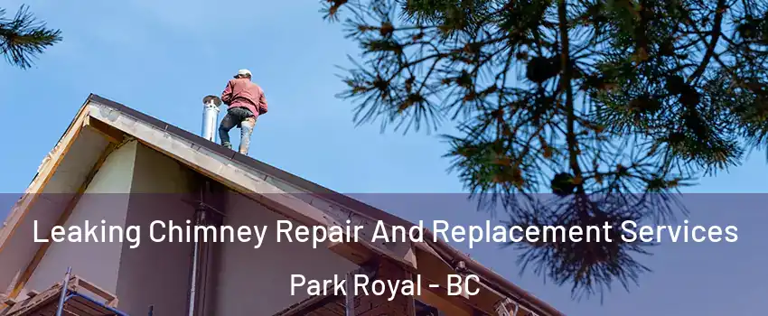  Leaking Chimney Repair And Replacement Services Park Royal - BC