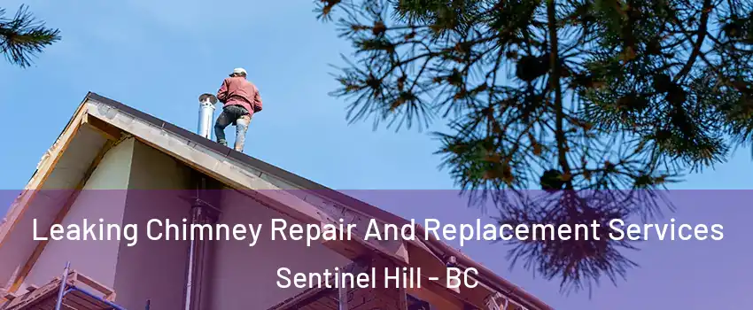  Leaking Chimney Repair And Replacement Services Sentinel Hill - BC