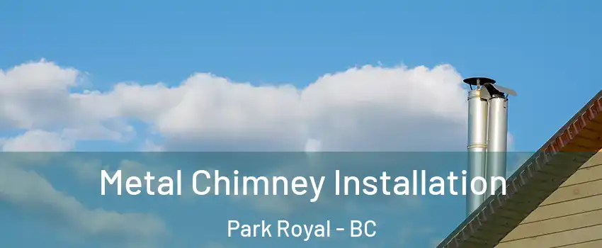  Metal Chimney Installation Park Royal - BC