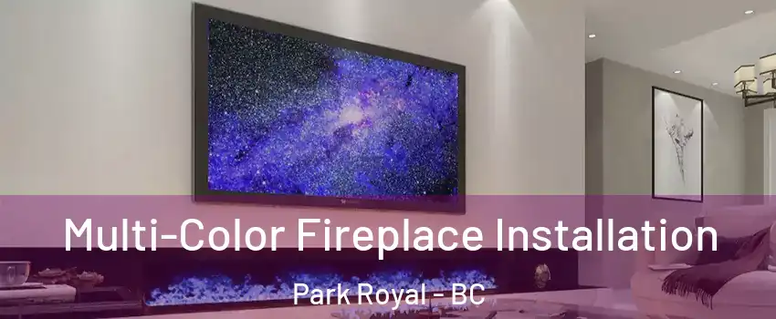  Multi-Color Fireplace Installation Park Royal - BC