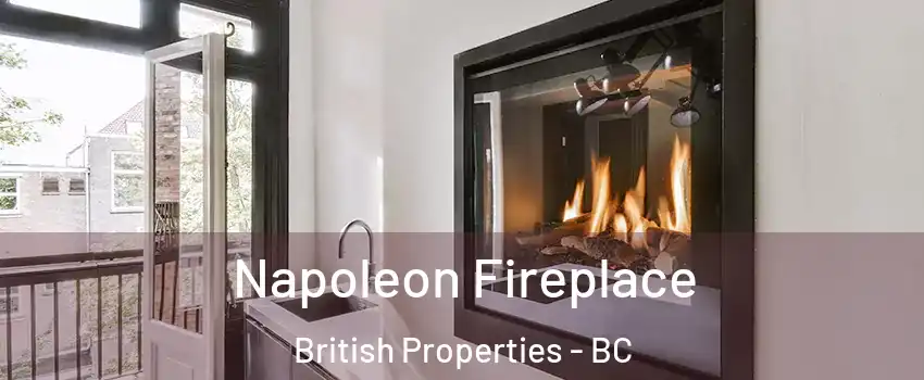  Napoleon Fireplace British Properties - BC