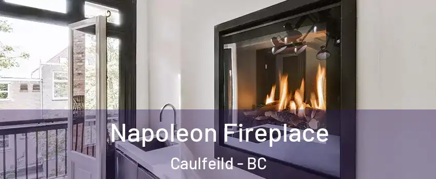  Napoleon Fireplace Caulfeild - BC