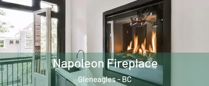 Napoleon Fireplace Gleneagles - BC