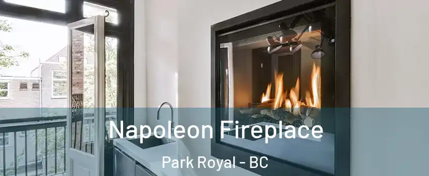 Napoleon Fireplace Park Royal - BC