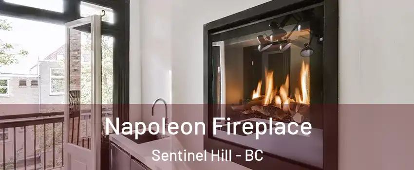  Napoleon Fireplace Sentinel Hill - BC
