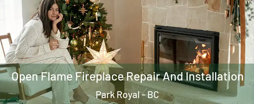  Open Flame Fireplace Repair And Installation Park Royal - BC