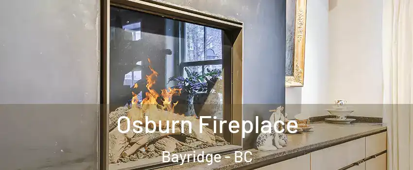  Osburn Fireplace Bayridge - BC
