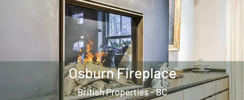  Osburn Fireplace British Properties - BC