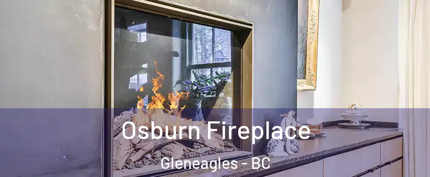  Osburn Fireplace Gleneagles - BC