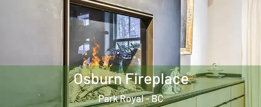  Osburn Fireplace Park Royal - BC