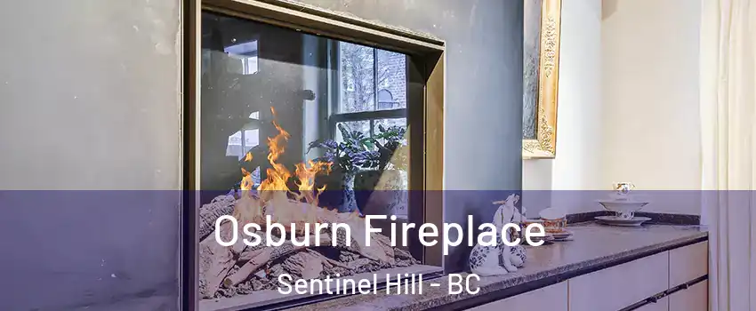  Osburn Fireplace Sentinel Hill - BC