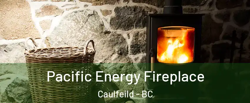  Pacific Energy Fireplace Caulfeild - BC