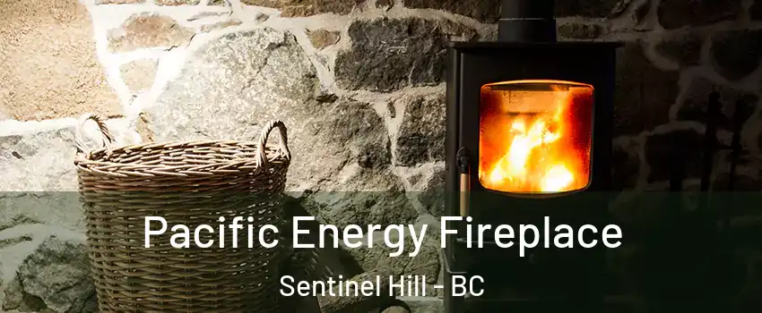 Pacific Energy Fireplace Sentinel Hill - BC